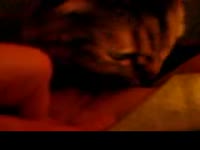 Cat eating and savoring the pussy of beastie gal